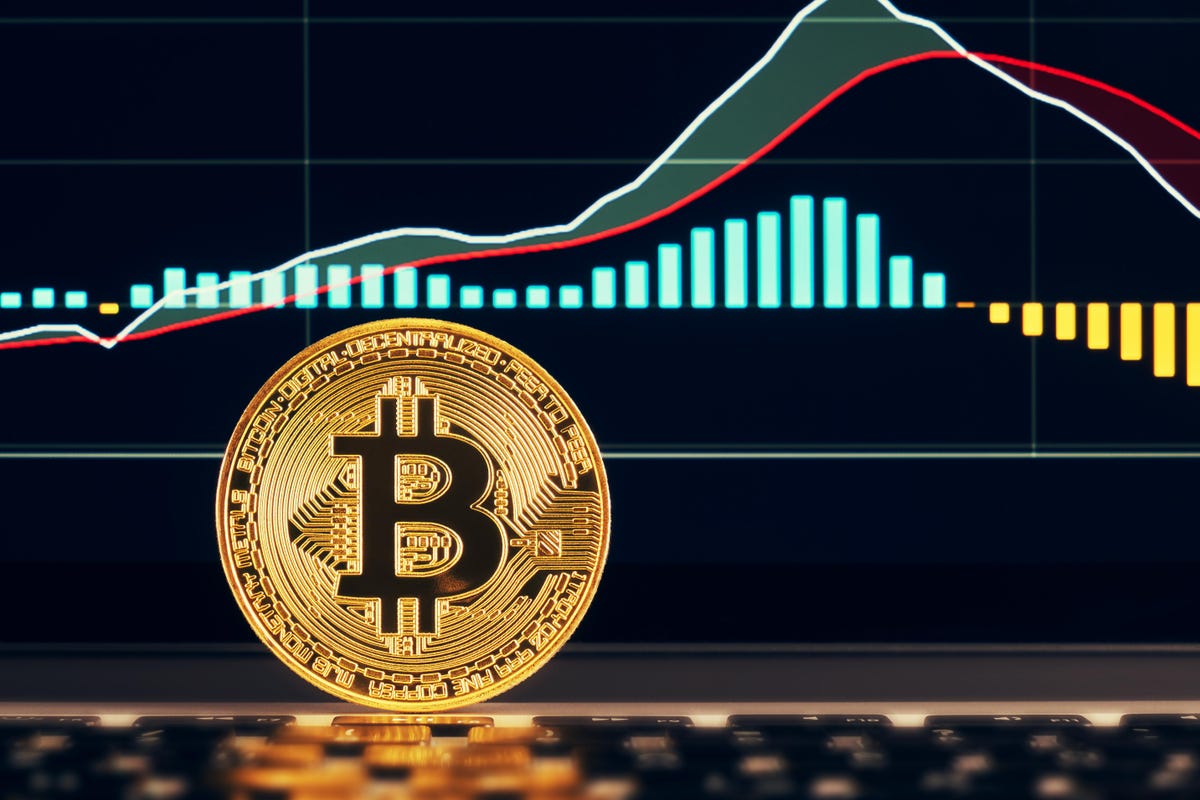 Learn These 9 Terms Before Investing In Cryptocurrency