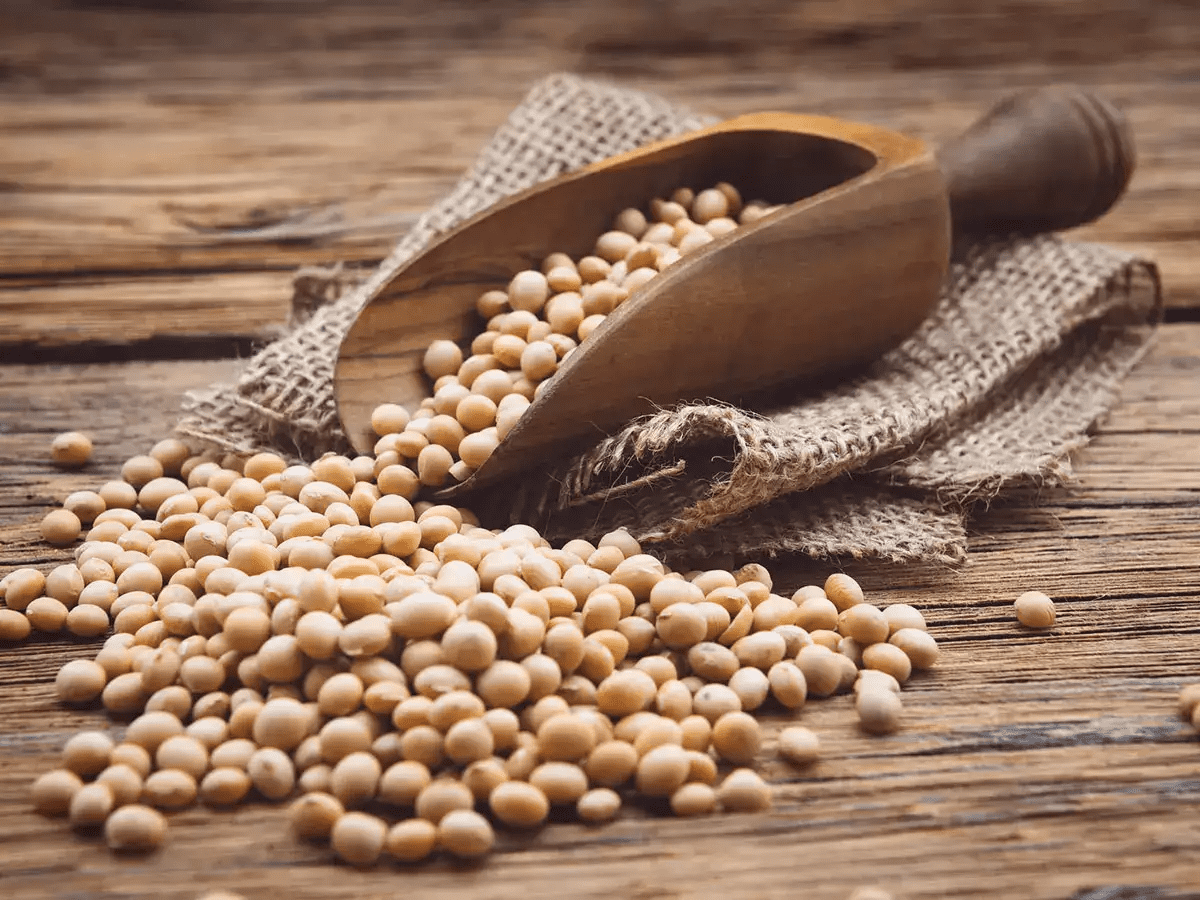 Soybeans - organic vegetables as best weight gain foods