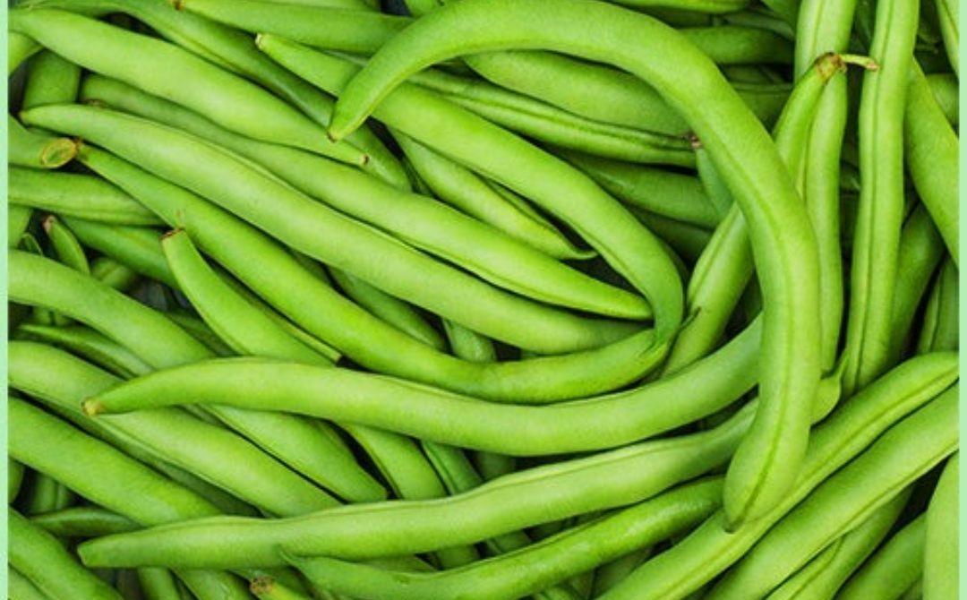 Beans-Top 5 Vegetarian Foods You Should Eat For Healthy Hair