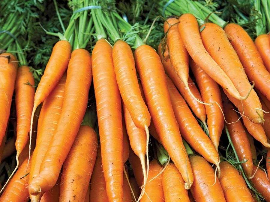 Carrots-5 Best Vegan Foods To Keep Your Eyes Healthy
