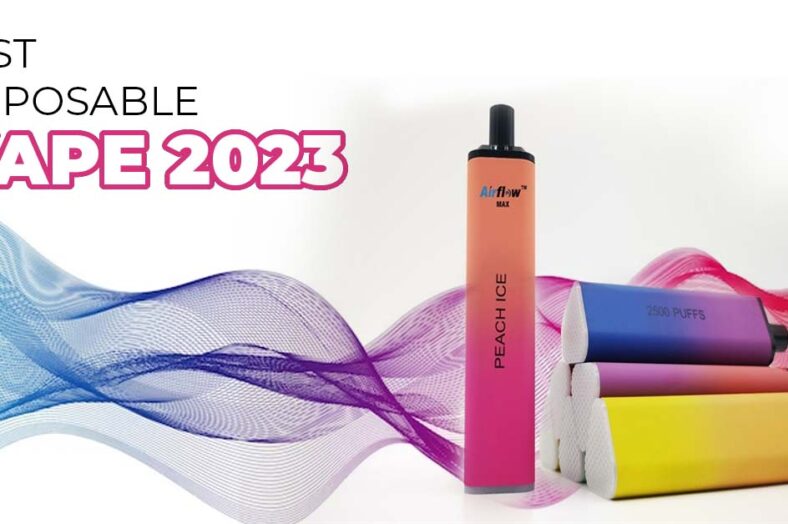 Best Disposable Vape 2023
