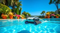 affordable pool cleaning solutions