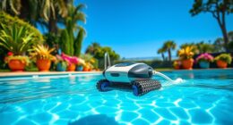 affordable pool cleaning solutions