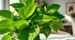 nature inspired pesto green decor