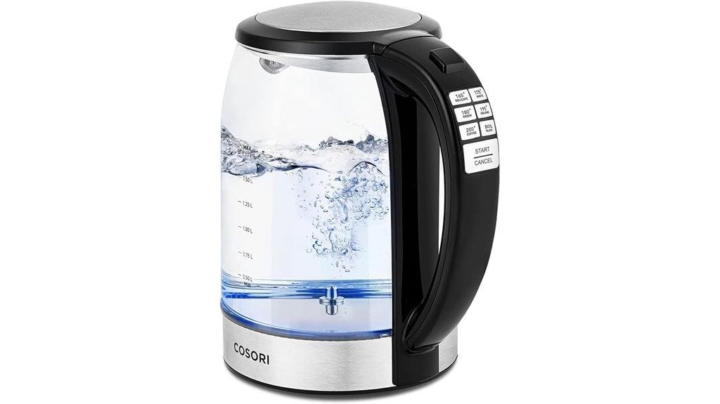 electric kettle with temperature control