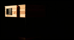 10 Best Portable Home Sauna in 2026