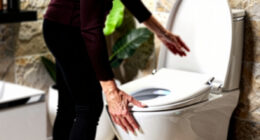 14 Best Bidet Toilet Seat Electric in 2026