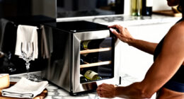 14 Best Wine Cooler for Entertaining at Home in 2026