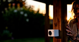 15 Best Bird Feeder Camera in 2026