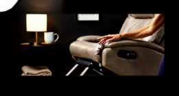 15 Best Dual Motor Lift Chair Recliner in 2026