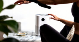 9 Best Air Purifier For Bedroom in 2026