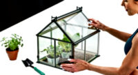 9 Best Greenhouse Walk In in 2026
