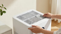 15 Best Air Purifiers for Allergy Relief in 2026