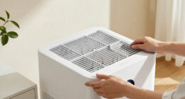 15 Best Air Purifiers for Allergy Relief in 2026
